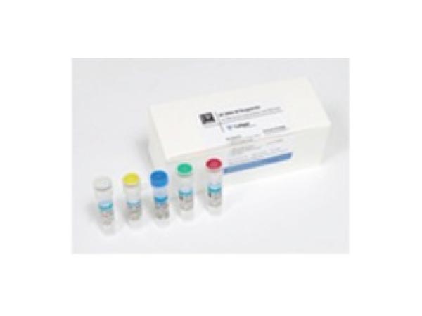 Protein Charge Variant Reagent Kit
